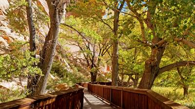 The trail to the Petroglyphs Panels, located off Utah Highway 24 near the historic pioneer settlement of Fruita, begins on a firm, crushed rock surface, leading to a boardwalk platform.