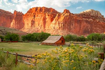 The Fruita Campground is located by the Fremont River. Four of its campsites have accessible features.