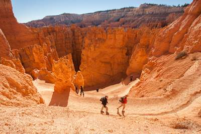 Bryce Canyon’s most popular route, Navajo Loop and Queens Garden Trail, both feature unbelievable hoodoo formations. 